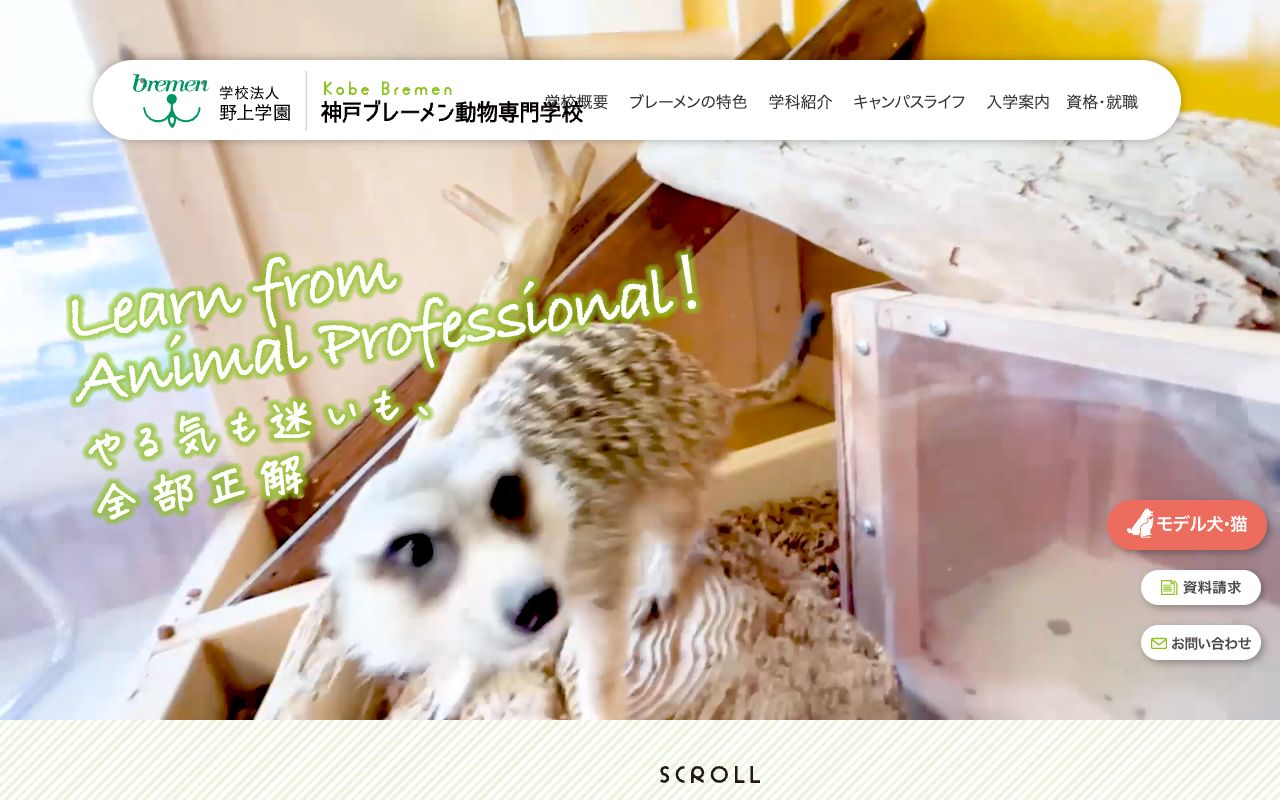 神戸ブレーメン動物専門学校の公式サイトの画面